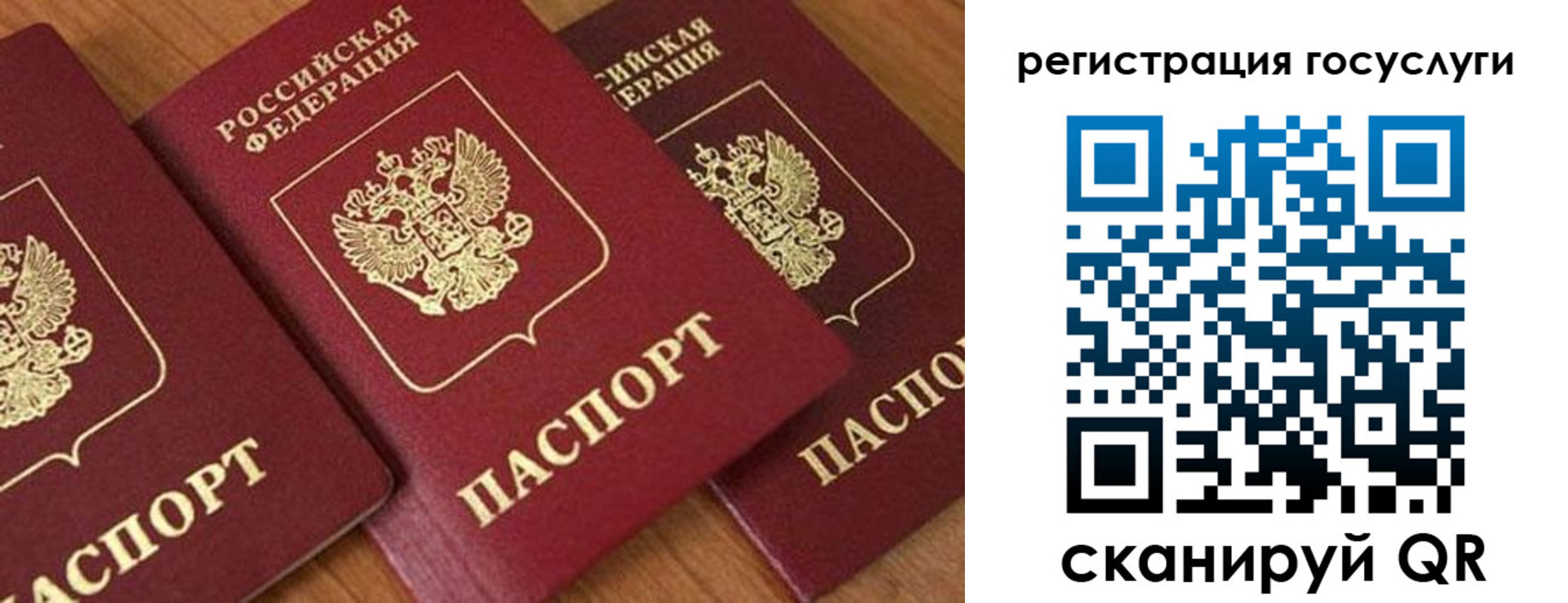 временная регистрация гарантия в Белгородской области